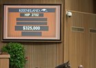 A Warrior's Reward filly, Hip 2702, was the co-highest price at the eighth session of the Keeneland September yearling sale