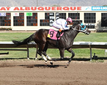Kris Who wins the 2017 New Mexico State Fair Thoroughbred Futurity