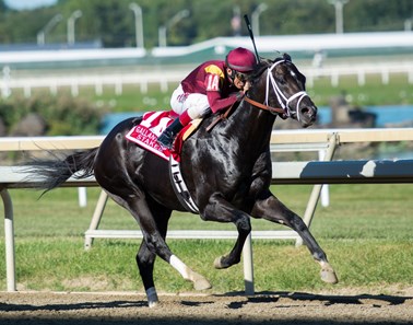 Coal Front, with John R. Velazquez up, wins the Gallant Bob(G.III) at Parx on September 23rd, 2017.