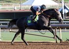 Arrogate works a bullet five furlongs at Santa Anita Sept. 26