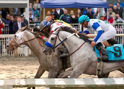 Chief Know It All Winning the 2017 BC Derby with jockey Rico Walcott up.