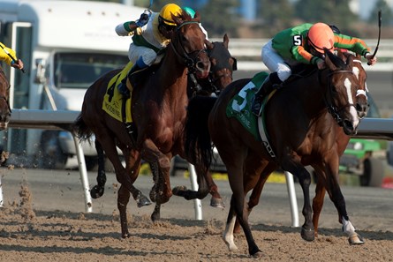 Sparkles' Girl wins the 2017 Classy 'n Smart Stakes