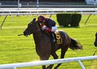 White Flag gets a neck victory in Belmont's Allied Forces Stakes Sept. 10