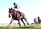 Daddys Lil Darling wins the 2017 Dueling Grounds Oaks at Kentucky Downs