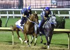 Gun Runner (outside) works five furlongs in company with Gettysburg Sept. 24