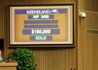 Hip 3499, a son of Violence, topped the 10th session of the Keeneland September sale Sept. 21