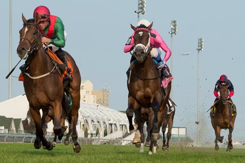 Capla Temptress gets a 3/4-length victory over Dixie Moon in the Natalma
