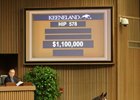 Hip 587, a Scat Daddy colt, sells for $1.1 million at the Keeneland September yearling sale