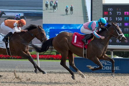 Ikerrin Road wins the 2017 Bold Venture Stakes