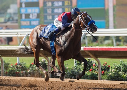 Miss Sunset wins the 2017 C.E.R.F. Stakes