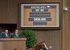 Hip 987, a colt by Curlin, brought $850,000