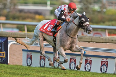 World Approval wins the 2017 Woodbine Mile