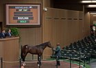 The session-topping Pioneerof the Nile colt was purchased by agent Steve Young for $525,000 out of Gainesway's consignment