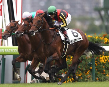 Shirvanshah - Maiden Win, Hanshin Racecourse