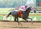 Pure Justice dominates by 15 3/4 lengths at Belterra Park Sept. 21
