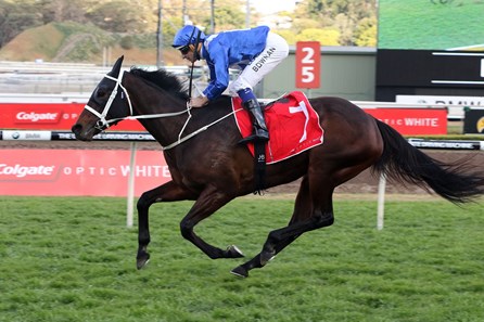 Winx wins the 2017 Colgate Optic White Stakes