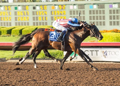 Run Away wins the 2017 Barretts Juvenile Stakes