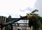 A horse in a damaged barn on the Hipodromo Camarero backstretch
