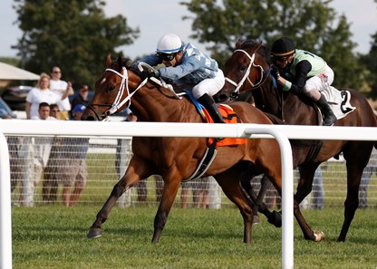 Applicator wins the 2017 Tourist Mile Stakes