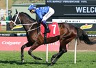 Winx wins her 20th straight race in the Colgate Optic White Stakes Sept. 16
