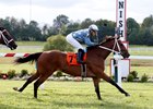 Applicator wins the Tourist Mile Stakes at Kentucky Downs