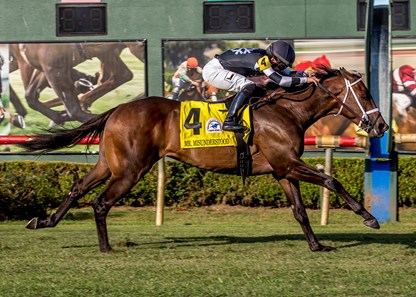 Mr. Misunderstood with Chris Rosier aboard wins the 38th running of the Super Derby at Louisiana Downs.