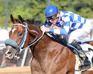 Midnight Mikey wins the 2017 Loyalty Stakes