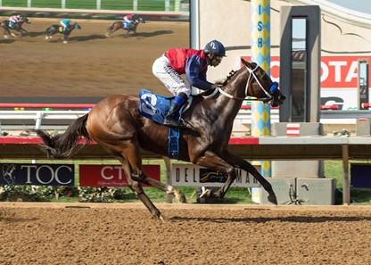 Miss Sunset wins the 2017 C.E.R.F. Stakes