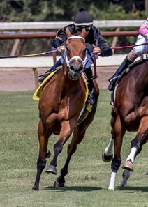 Quinta Verde with jockey Diego Saenz aboard turns for home and goes on to capture the 32nd running of the River Cities Stakes at Louisiana Downs.