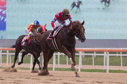 Graceful Leap wins the 2017 Korea Sprint (KOR-1)