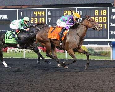 Ami's Mesa wins the 2017 Presque Isle Downs Masters Stakes (G2)