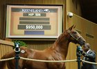 A striking son of Scat Daddy consigned by Gainesway topped the first day of Book 2 trade