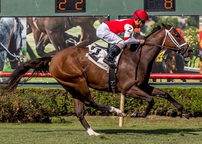 Jockey Colby Hernandez pilots Lady O’Toole to victory in the 32nd running of the Happy Ticket Stakes at Louisiana Downs.