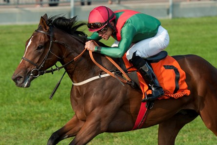 Capla Temptress wins the 2017 Natalma Stakes