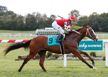 Snapper Sinclair wins the 2017 Fasig-Tipton Turf Showcase Juvenile Stakes