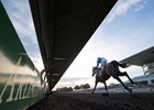 Arlington International Racecourse