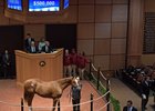 Hip 542, a colt by Violence, sells for $500,000