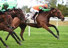Rubilinda wins the Pebbles Stakes at Belmont Park