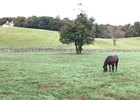 Alliance at Bonita Farm in Maryland