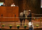 A horse sells at Heritage Place in Oklahoma City
