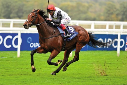 ASCOT 21-10-2017. Qipco Champion Stakes (Group 1)
CRACKSMAN and Frankie Dettori win for trainer John Gosden.
Photo Healy Racing / Racingfotos.com
THIS IMAGE IS SOURCED FROM AND MUST BE BYLINED "RACINGFOTOS.COM"