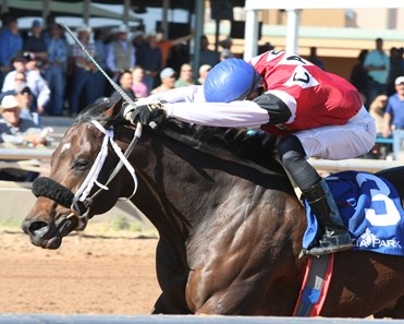 My Mirage wins the 2017 New Mexico Classic Cup Derby Championship Stakes