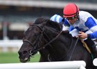 Blacktype is the co-highweight in the Tropical Turf Stakes at Gulfstream Park