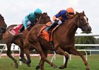 Off Limits scores in the Athenia Stakes