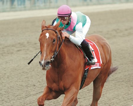 Sightseek and Javier Castellano cruise home in the Beldame Stakes, Saturday at Belmont.