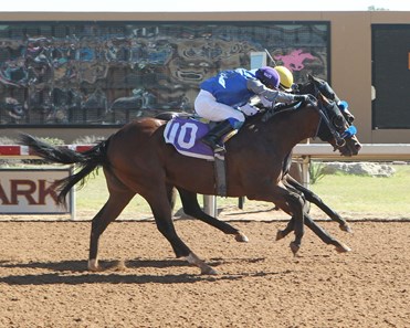 P J's Gold wins the 2017 New Mexico Classic Cup Juvenile Championship Stakes