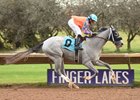 April Fog breaks her maiden at Finger Lakes Oct. 25
