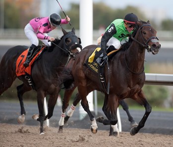 Jockey Gary Boulanger guides Moonlit Promise to victory in the 2017 Ontario Fashion Stakes
