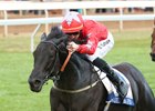 Suedois wins the Oct. 7 Shadwell Turf Mile at Keeneland