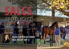 2017 Fasig-Tipton October Sale Recap Day 3